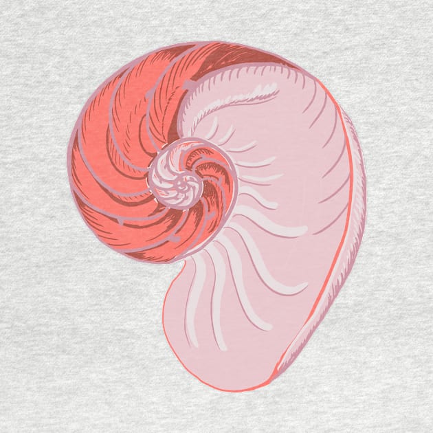 pink nautilus by kathleenabruce